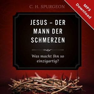 Artikelbild 8753G0033