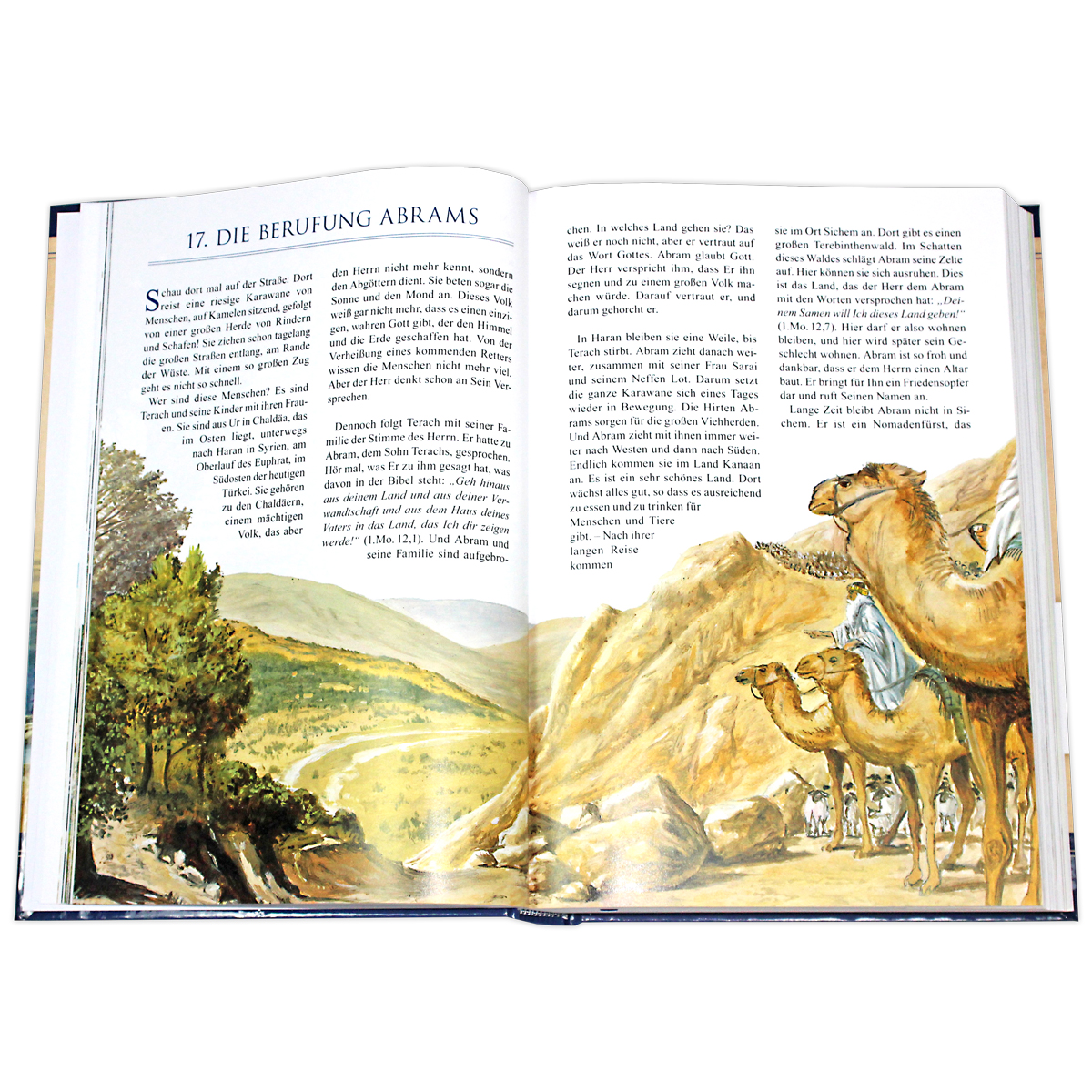 vanWijk: Biblische Geschichten - erzählt & erklärt