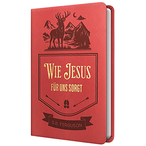 Ferguson: Band 4: Wie Jesus f�r uns sorgt � Kunstleder