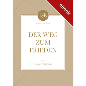 George: Der Weg zum Frieden - eBook