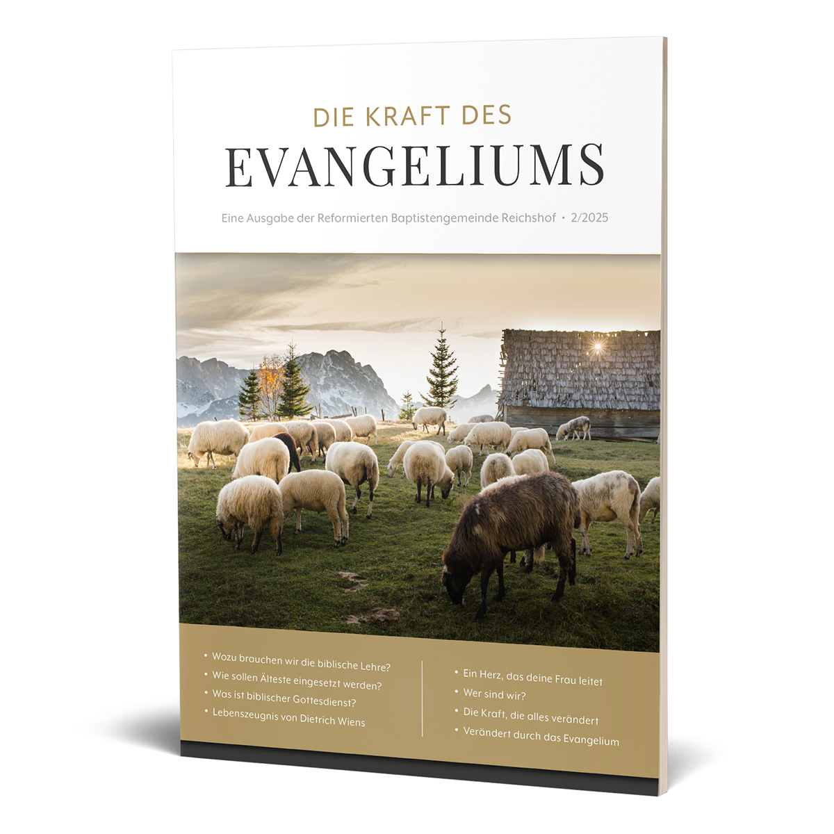 Die Kraft des Evangeliums 2/2025