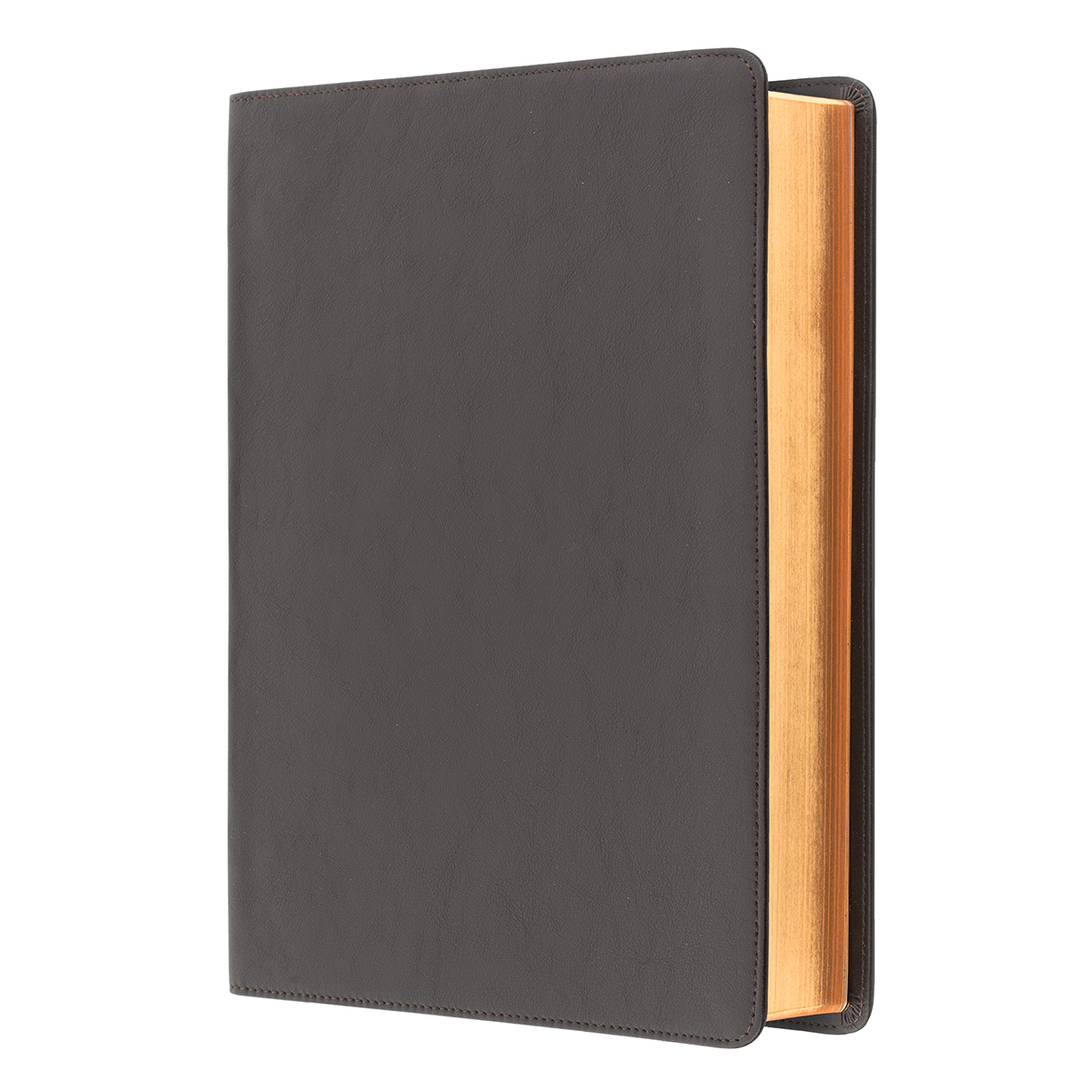 Elberfelder - Gro�druckausgabe mit B�nde