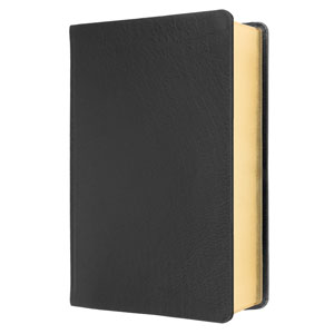 Elberfelderbibel - Gro�druckausgabe | Hausbibel, Leder