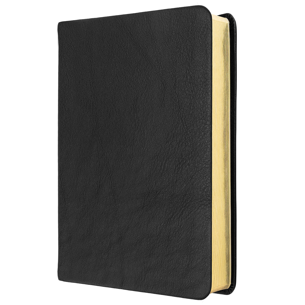 Elberfelder - Taschenausgabe