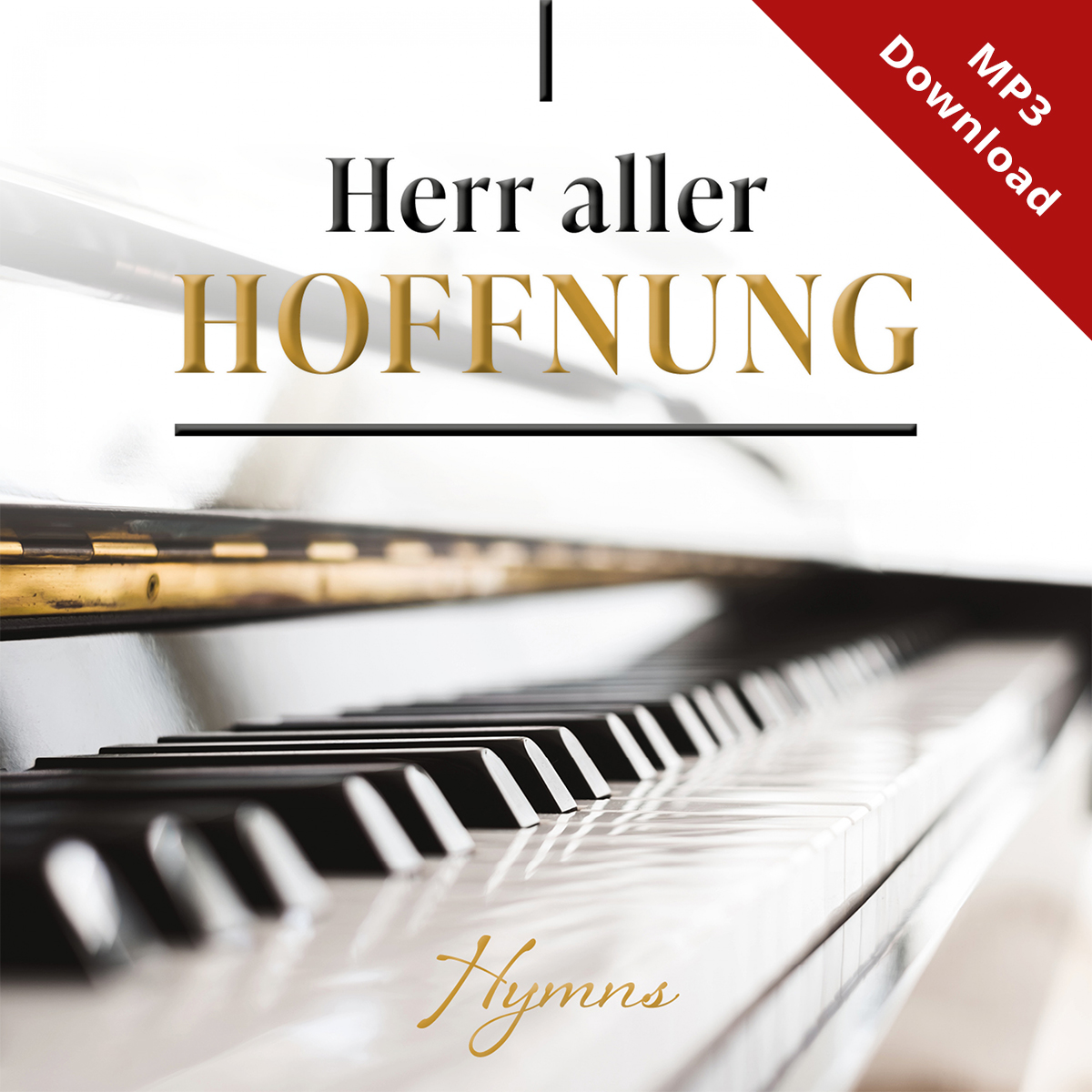 Herr aller Hoffnung (Online-Album)