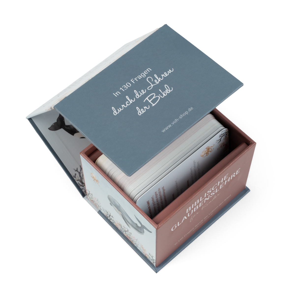Kartenbox: Biblische Glaubenslehre für Kinder