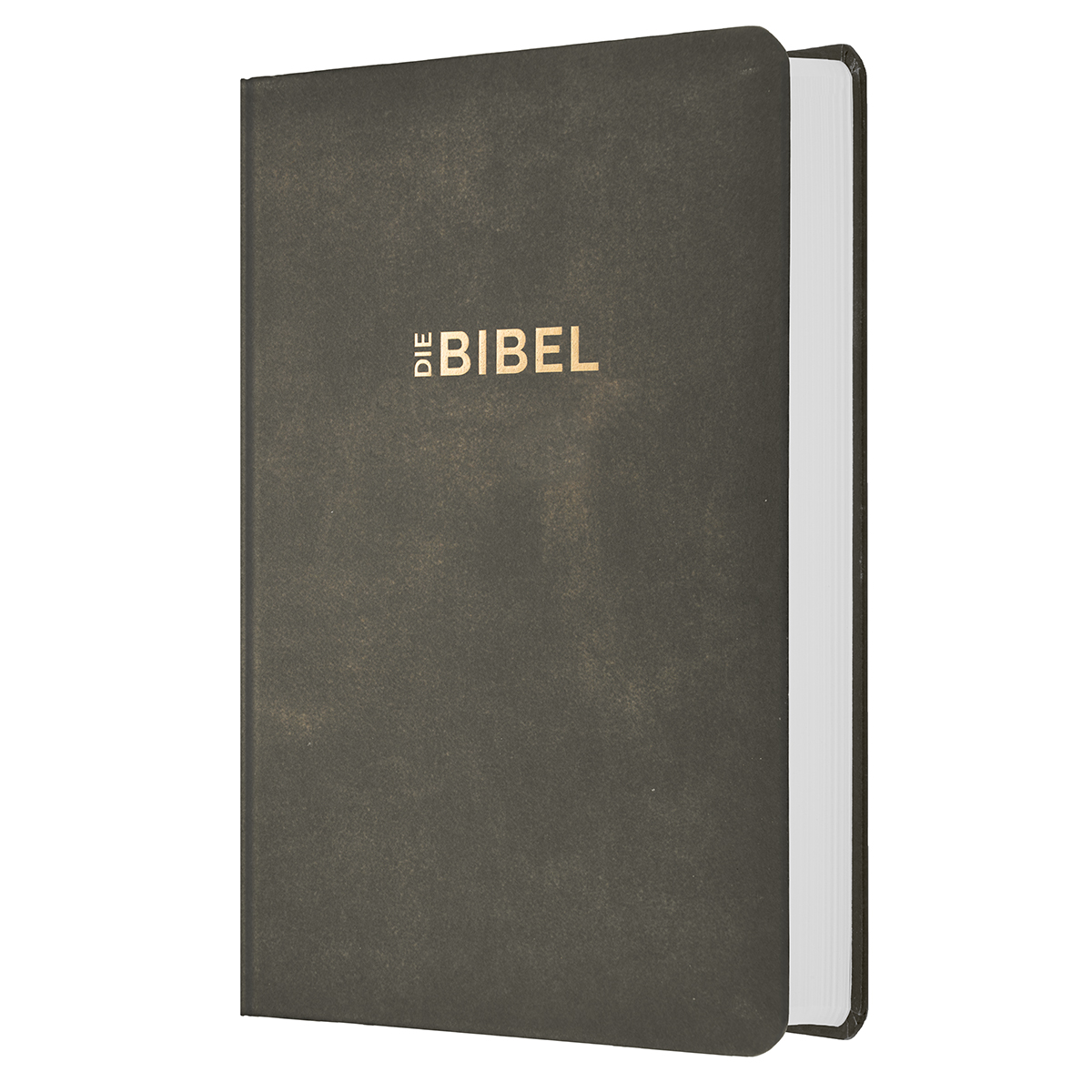 Schlachter 2000 Bibel - Taschenausgabe