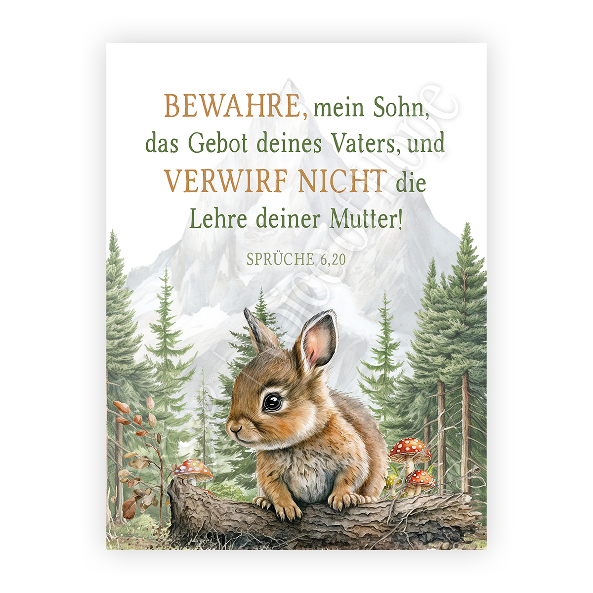 Wald-Hase gro� (Spr�che 6,20)