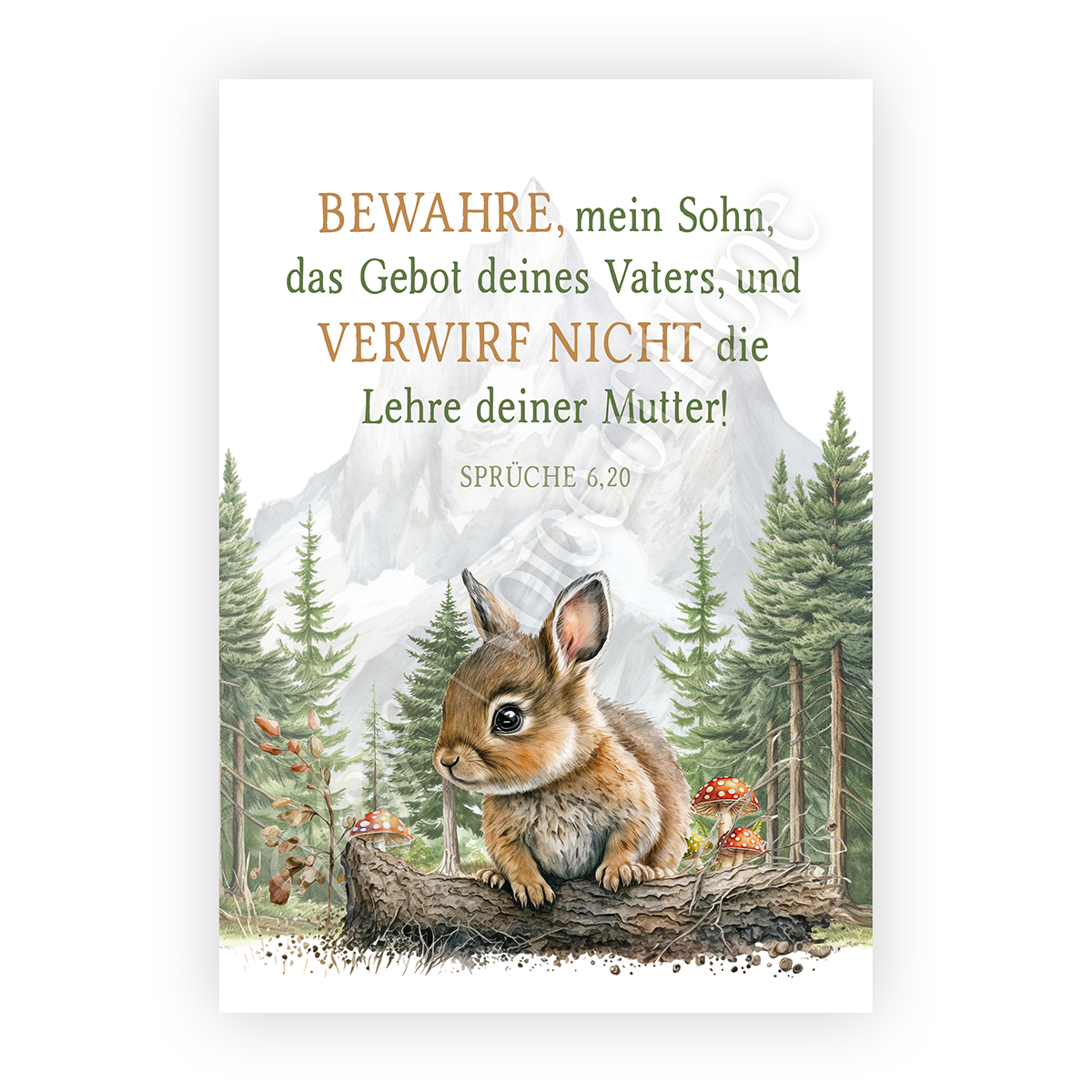 Wald-Hase klein (Spr�che 6,20)