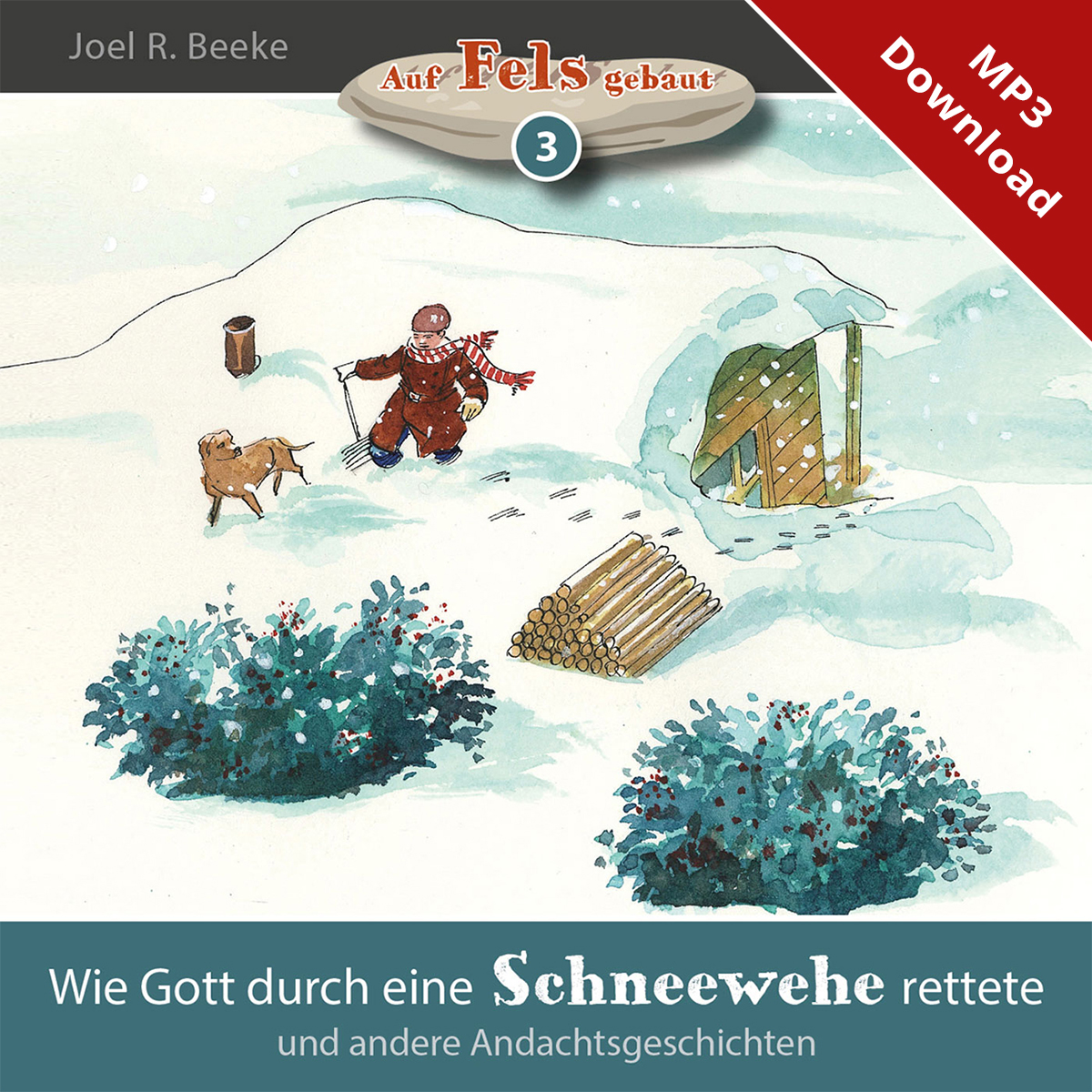 Wie Gott durch eine Schneewehe rettete - Online-H�rbuch (Download)